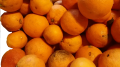 Agrumes