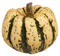 Courges